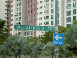 Blk 687A Woodlands Drive 75 (Woodlands), HDB 5 Rooms #638979491